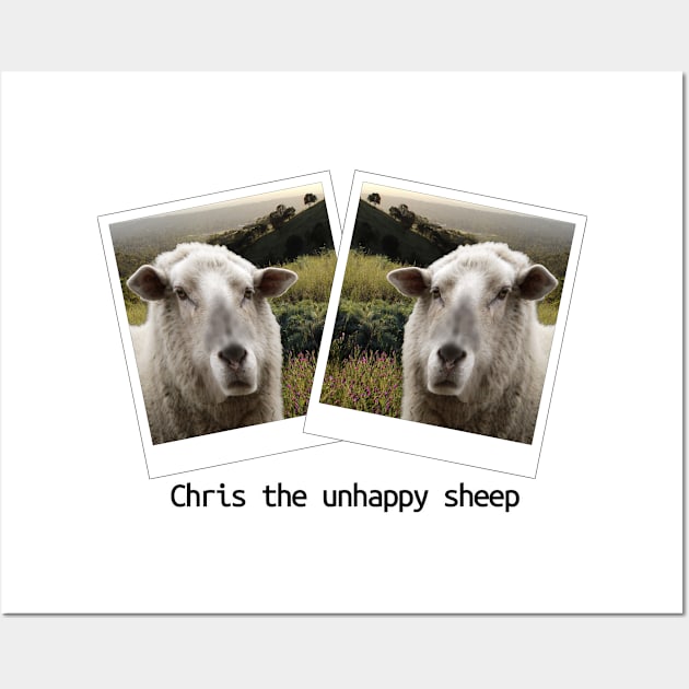 Chris The Unhappy Sheep Wall Art by Loganferret